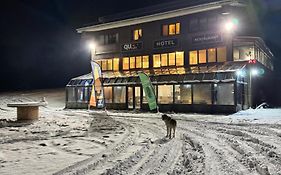 Chalet Vasilitsa